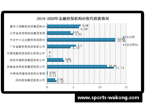 亚泰球员报价波动：市场分析与未来走势